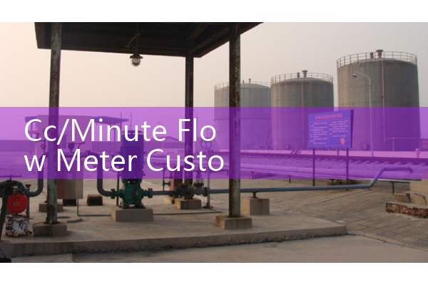 Cc/Minute Flow Meter Customization & Sizing Rules